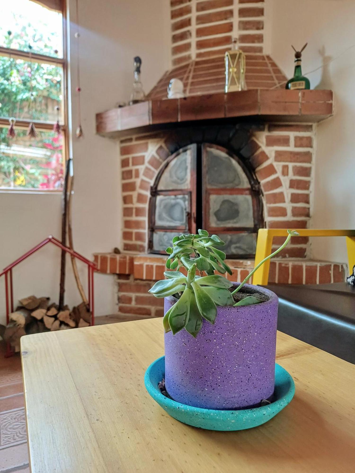 와라스 Casa Tribu 아파트 외부 사진